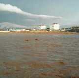 ZDhere tweet picture