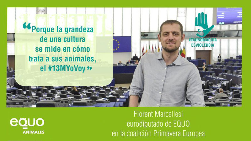 fmarcellesi's tweet photo. La grandeza d una nación se mide x cómo trata esta a los animales (Gandhi). España, entra en el siglo XXI! #TauromaquiaEsViolencia #13MYoVoy https://t.co/5bXbQvjK57