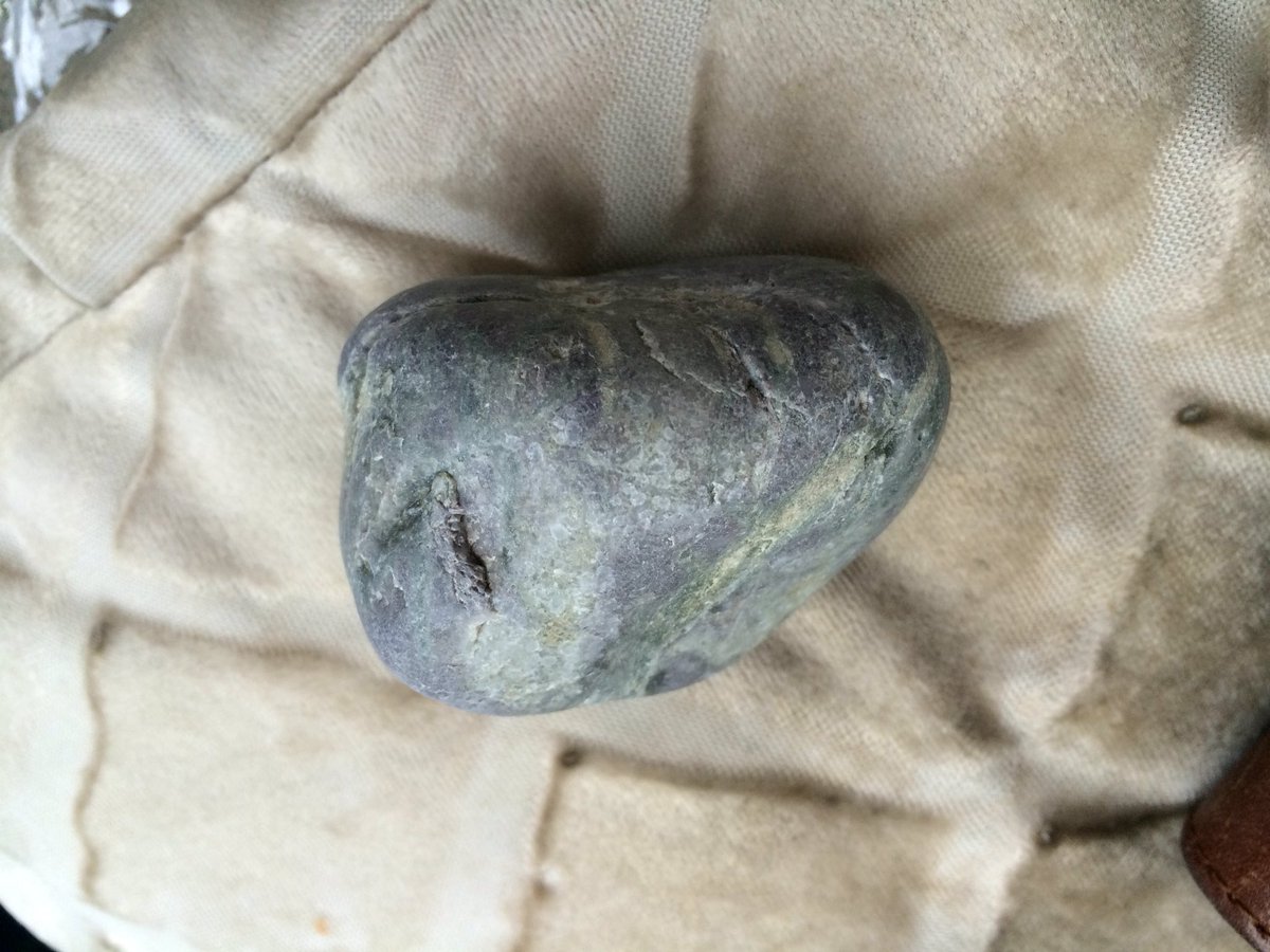 ブランフェムト בטוויטר 翡翠海岸に翡翠原石拾いに通い始め一時中断 一昨年再開するも海岸にテトラポットや砂利の搬入で以前みたいにさざれ石クラス翡翠原石が拾えなくなり でもガーネット入り複合石や色付き瑪瑙 デュモルチェライト結晶欠片が拾えた 夢は出雲