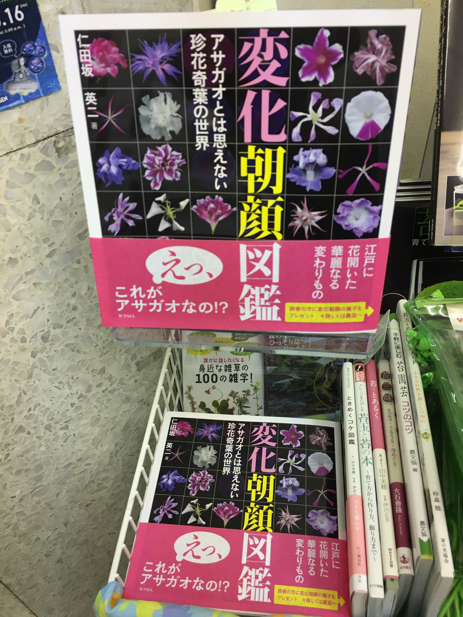 書泉グランデ 営業時間 11 00 00 Twitter पर 5階 動植物 変化朝顔図鑑フェア開催中です 変わった形の花を咲かせる朝顔 の品種を集めた 変化朝顔図鑑 をお買い上げの方に朝顔の種を差し上げております ぜひお家ですてきな朝顔を咲かせてみて下さい