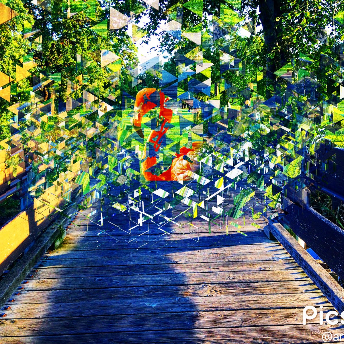 AnjaMariaBates1's tweet photo. #DispersionContest # PicsArt. Oak Grove Park #bridge #flamingo # Anja https://t.co/j4FS5GDYUE