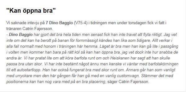 Intervju med <a href="/CatrinFajersson/">Catrin Fajersson</a> om Dino Baggio, en av få intervjuer vi saknade till V75 i tidningen.