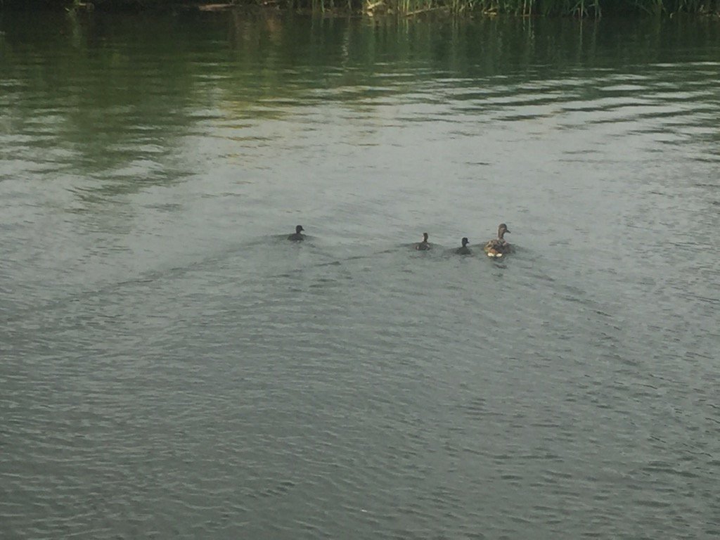 Nick Howe tweet media