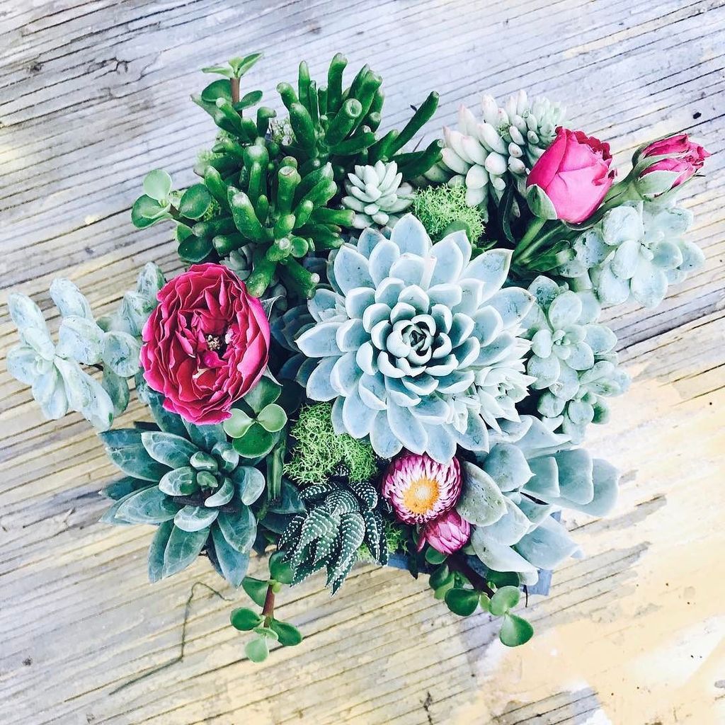 WillYouDesign's tweet photo. Mother's Day is here once more! A day designated to show love and appreciation to the woman who gave us life.  We … https://t.co/2l96l20NQM https://t.co/pU7YFM8aQ9