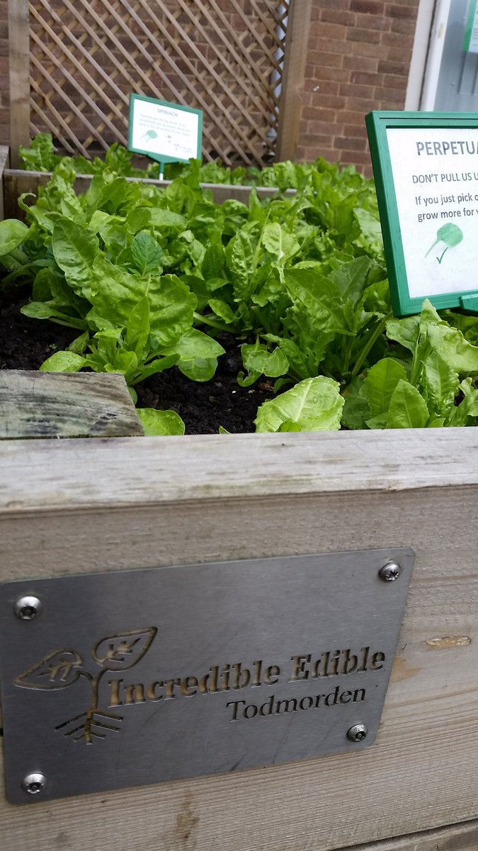 As a visiting Bristolian it's great to see <a href="/incredibledible/">Original IET</a> going strong in Todmorden too! <a href="/EdibleBristol/">IncrEdibleBristol</a> :)