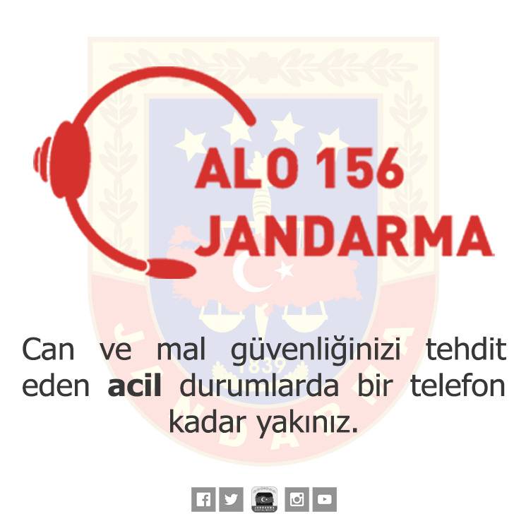 alo alo 5 ALO