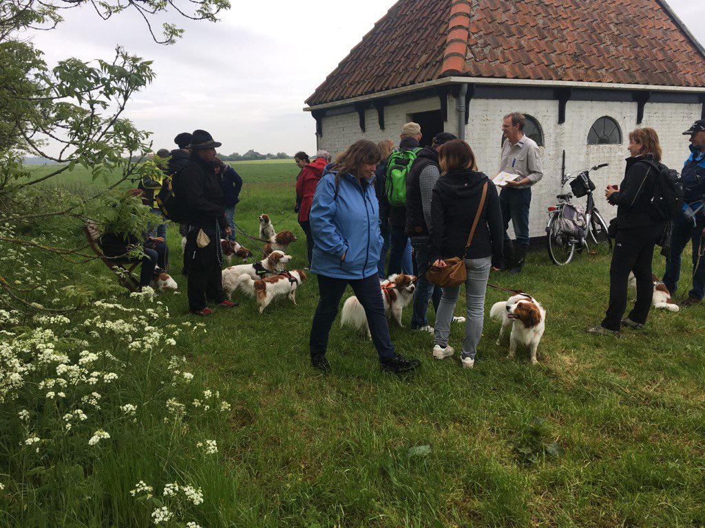 LoranTinga's tweet photo. Duitse vereniging van kooikershondjes op bezoek in de #eendenkooi Spang van #Natuurmonumenten op #Texel https://t.co/KPxkHtBqn6