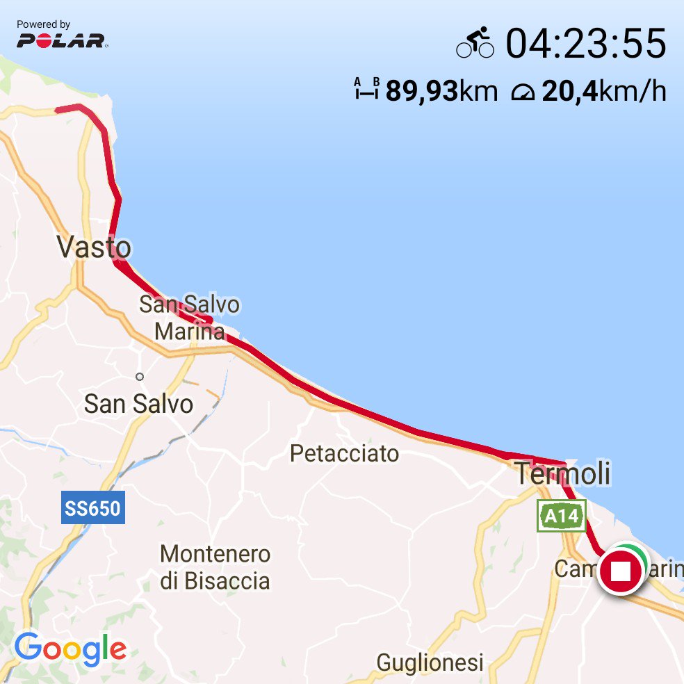 2803gio's tweet image. #PolarBeat