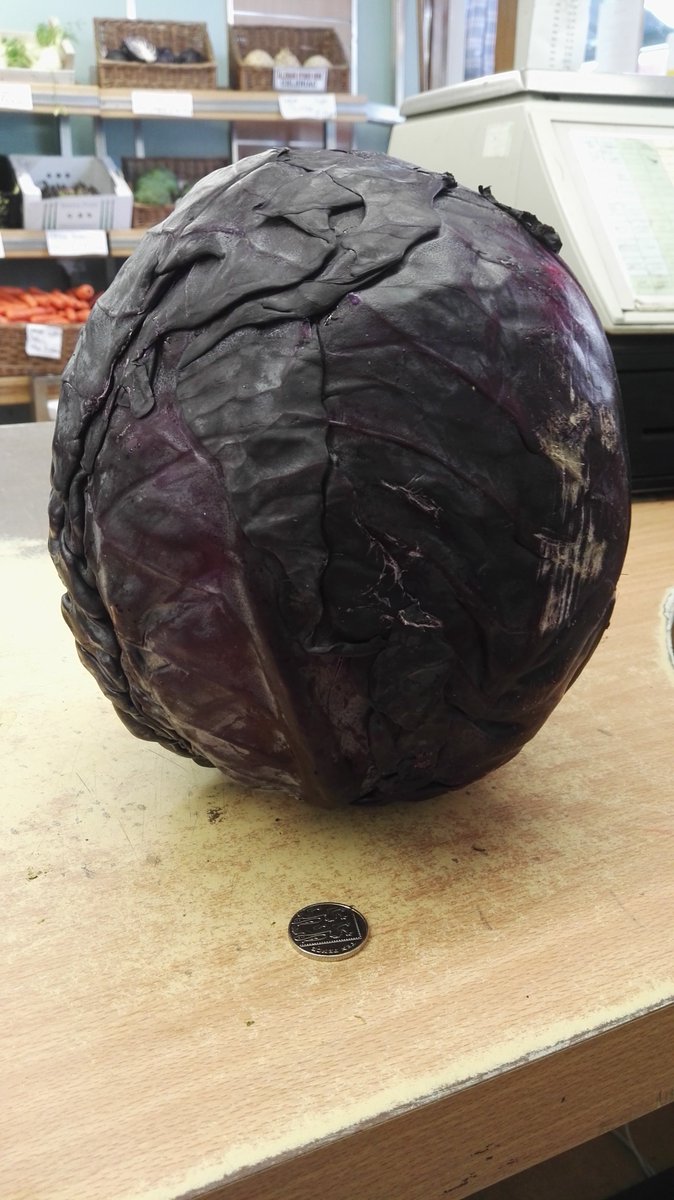 StokesBath's tweet photo. Today in Comically Large Vegetables...
Is that a hashtag? #ComicallyLargeVegetables
Well it is now. https://t.co/8Zkr8ym9My