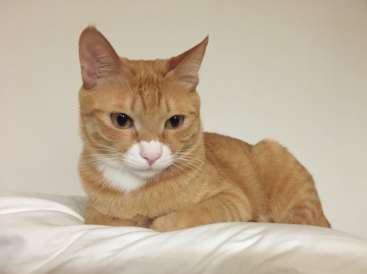 안냥 기여움학과 17학번이얘여