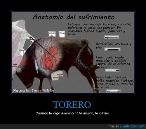 Lyudmilavuelve's tweet photo. #TauromaquiaEsViolencia Llamar héroes a asesinos es un insulto a la heroicidad. Toreo no te insulto, te defino. https://t.co/Af3U9FulG6