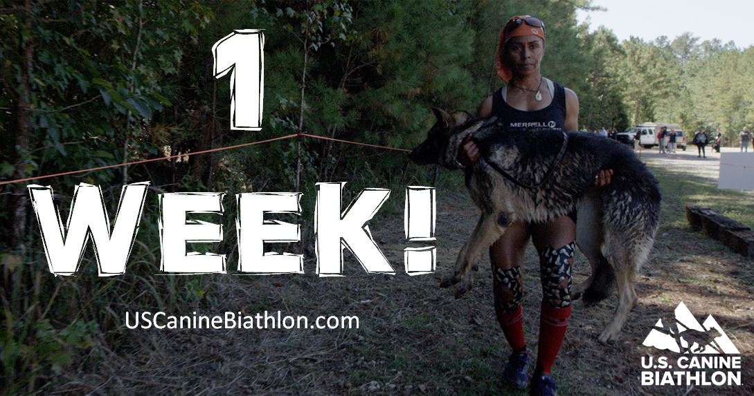 SouthernCoastK9's tweet photo. We're 1 week away (OMG!) from the 2017 U.S. Canine Biathlon. Who's excited &amp; who's freaking out a little?! 🐶😀🏅 https://t.co/ti0U7QBZof