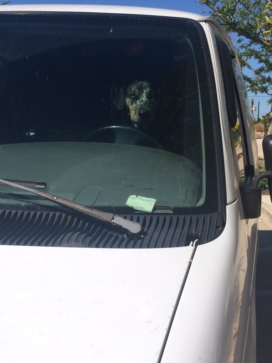 Hey <a href="/TheZebraCo/">The Zebra</a>, what's the best insurance rate for this driver?