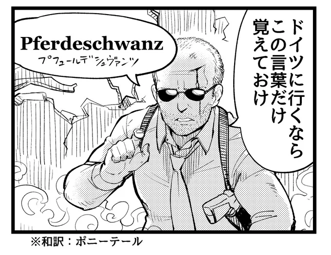 📷 ドイツ語でも大丈夫 https://t.co/xMm0za6dLJ #日替わり1コマ 