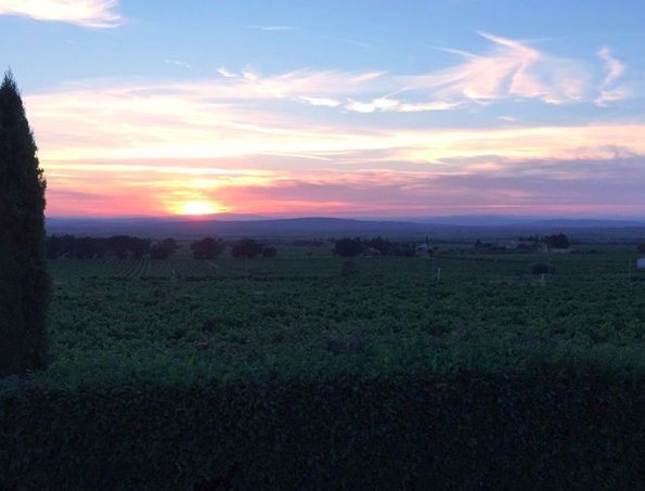 Gorgeous #sunrise over Chateauneuf-du-Pape. (Photo: <a href="/jebdunnuck/">Jeb Dunnuck</a>) #winecountry