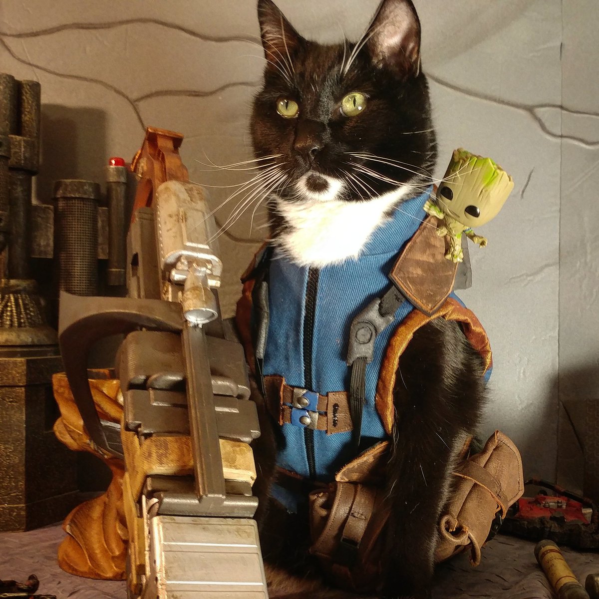 fallout 4 how to get a cat fallout 4 how to get a cat