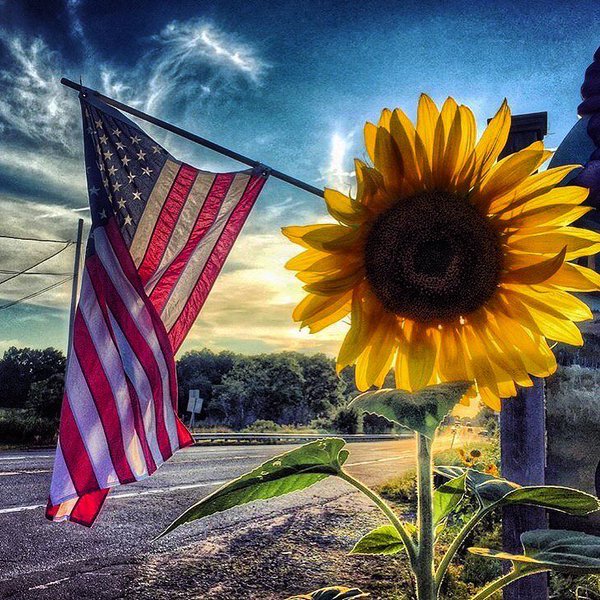 CloydRivers's tweet photo. Didn't win the lottery, but I did wake up in the best country in the world. And that's kinda the same thing. Merica. https://t.co/flBRARfrhP