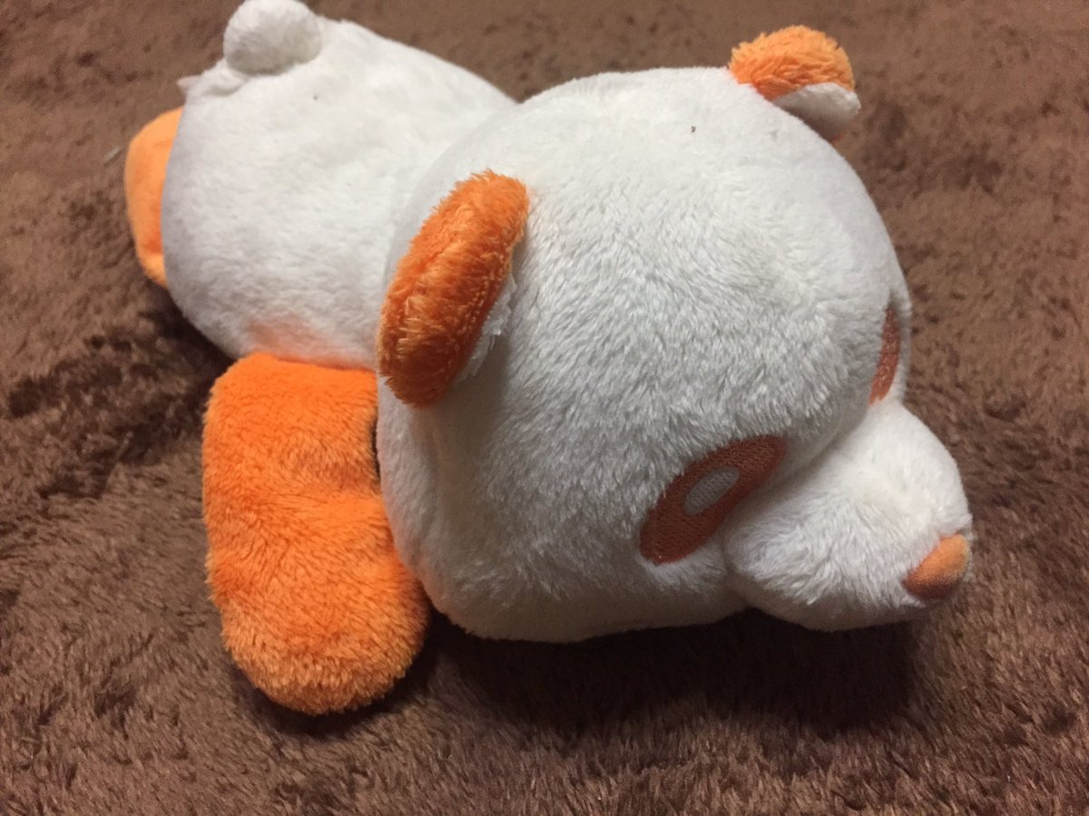 puu6am's tweet photo. 前回のプレゼント企画の物が無事届いた連絡来たので早いんですが第３弾します
BIG寝そべりの前普通の寝そべりパンダ

今回予告してた通りフォロワーさんのみ
方法👉RTのみ
当選後住所教えれる方

※5/19 23時59分まで https://t.co/DyYjQm9GGW