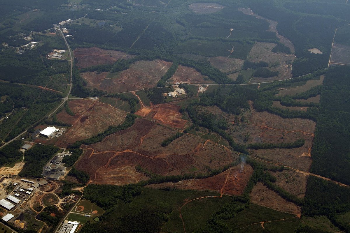 One of the many landscapes of utility-scale solar. Chambers County, Alabama is the future home of 110.9 MW LaFayette Solar. #WeAreSolar