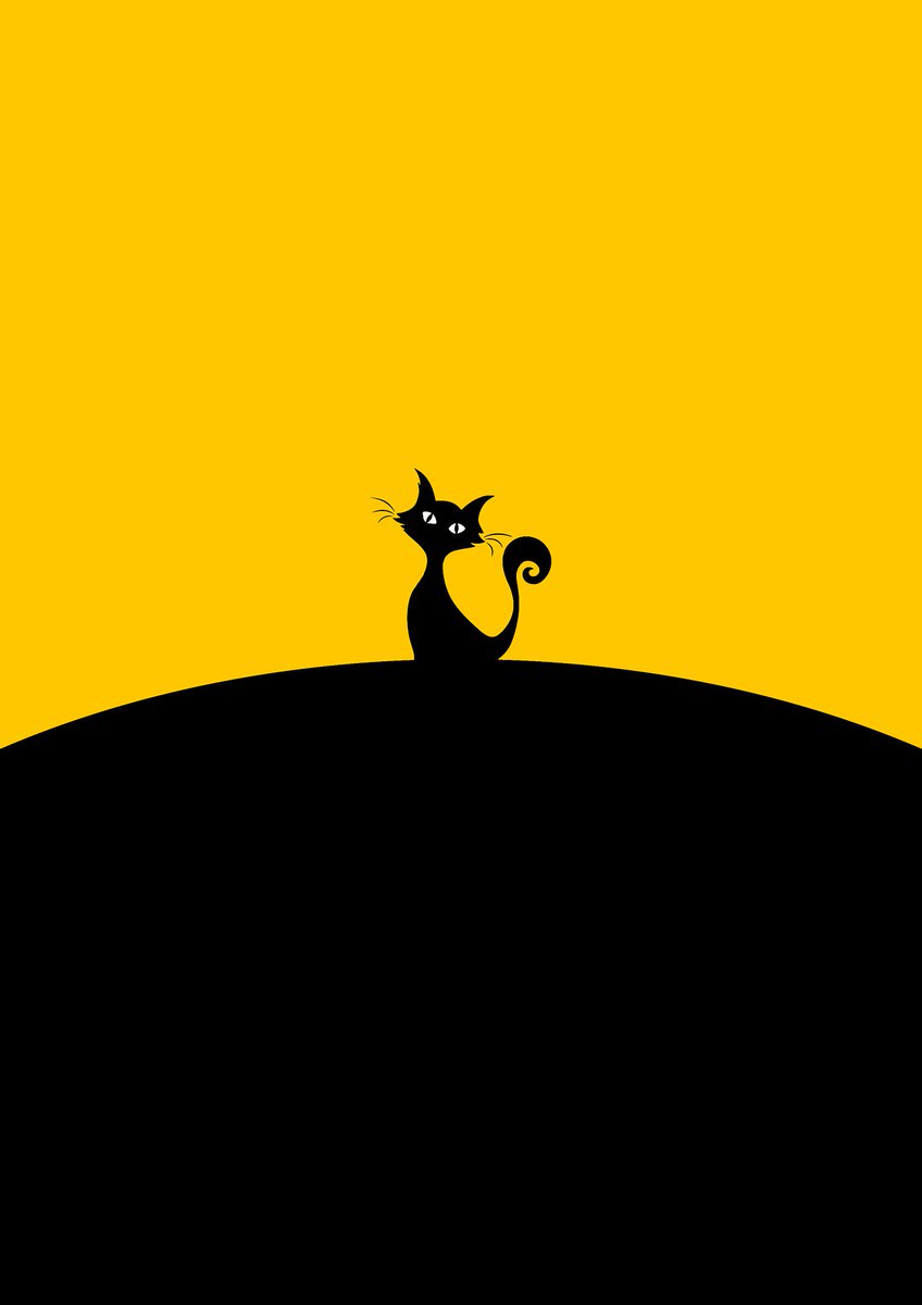 Cat Minimal Wallpaper