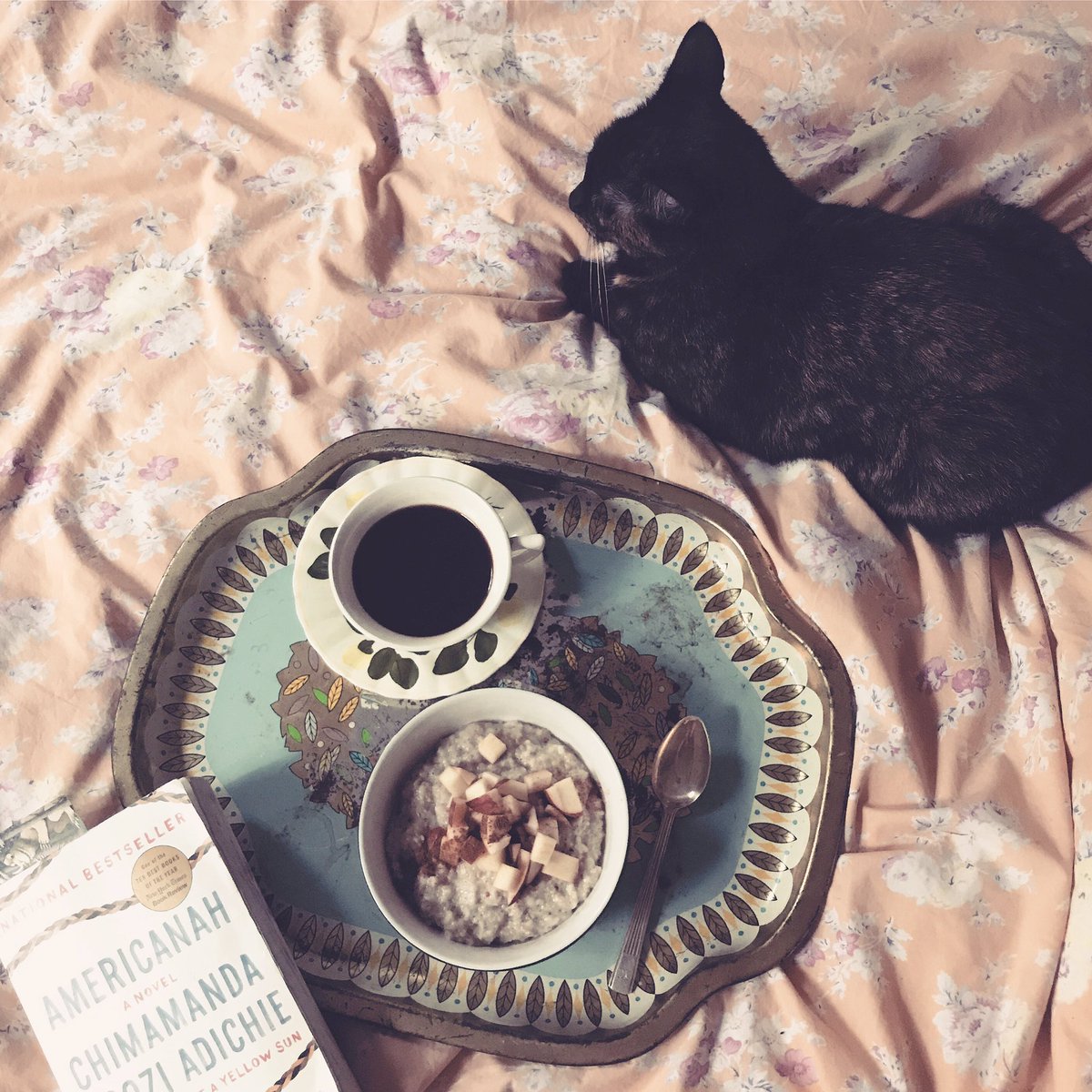 BroganGanley's tweet photo. Perfect Saturday. Have you read #Americanah yet??
#onebookoneny #chimamandangoziadichie #instagram https://t.co/tAzVAMqoSm