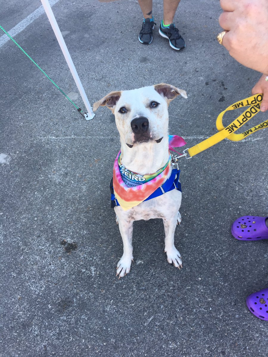 BastropAnimalRescue tweet media