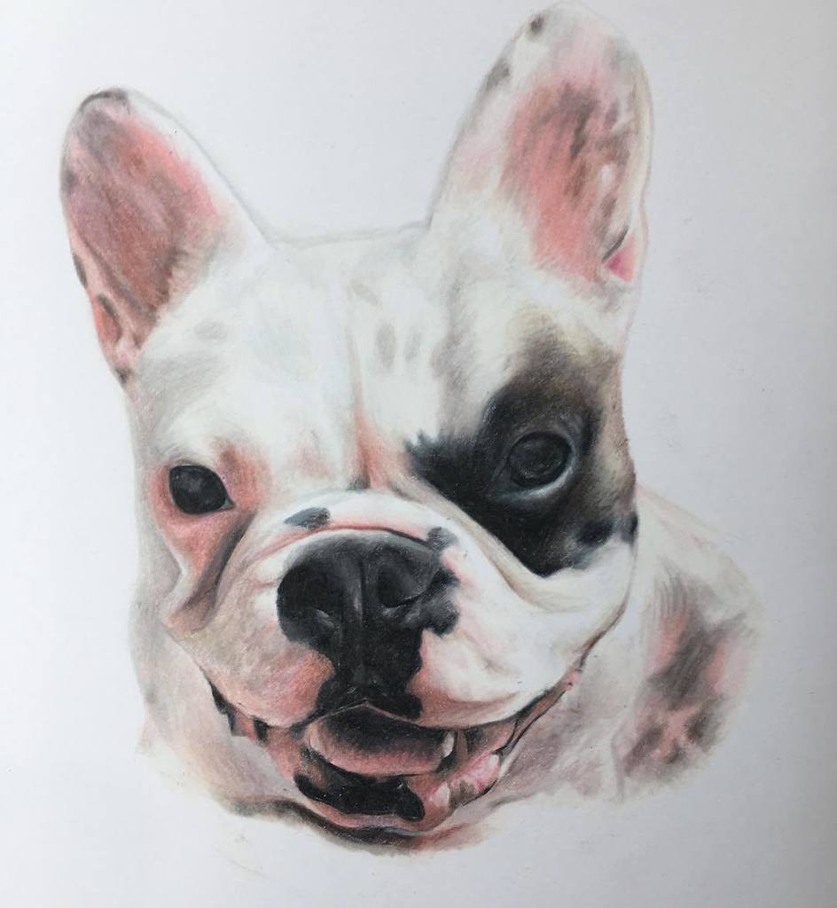 Burch_Tattoos's tweet photo. #tattooapprentice #coloredpencil #fivekeystattoo #realism https://t.co/HUET5A32Ny https://t.co/jQcpnToZ0O