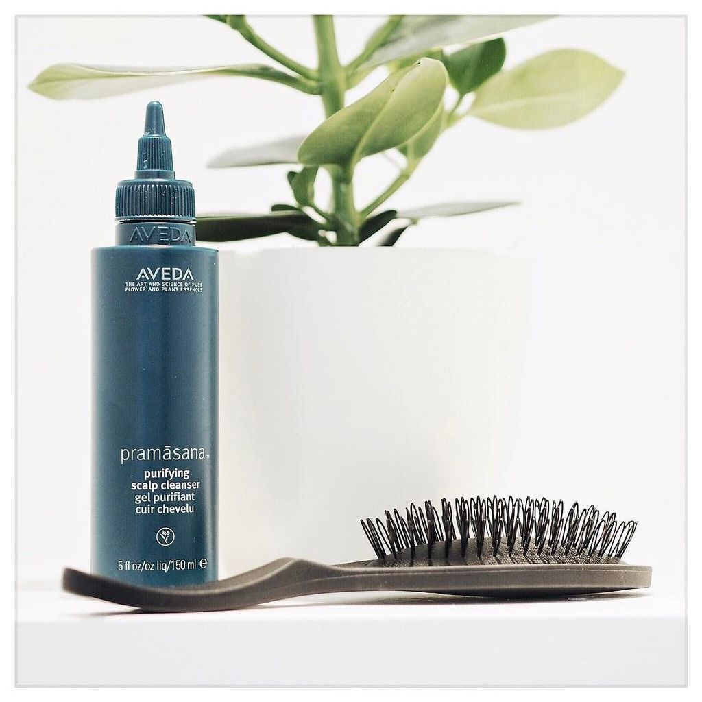 I've been using the new @avedauk Pramãsana exfoliating scalp brush and purifying scalp cleanser before shampooing … ift.tt/2qdmRN4