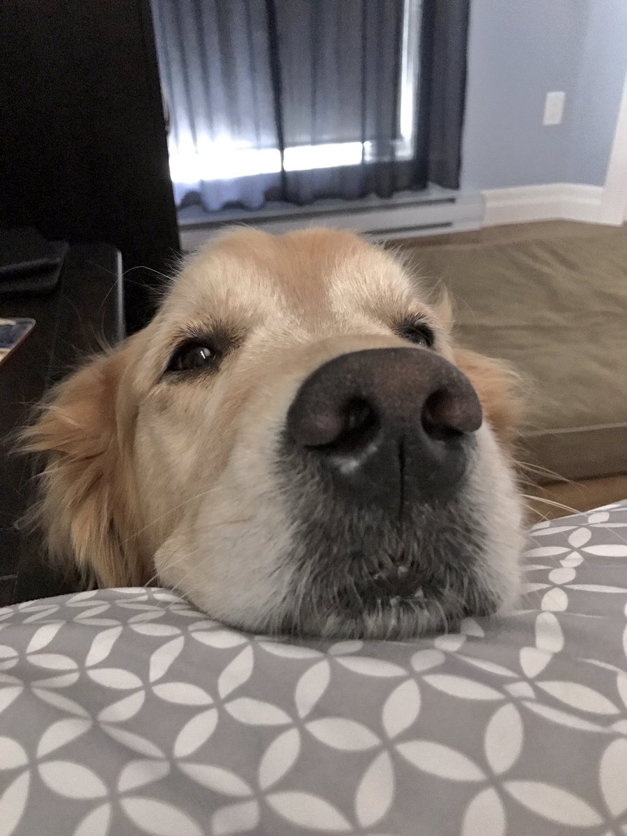 Mum... mum? MUM! It's pee o'clock💦