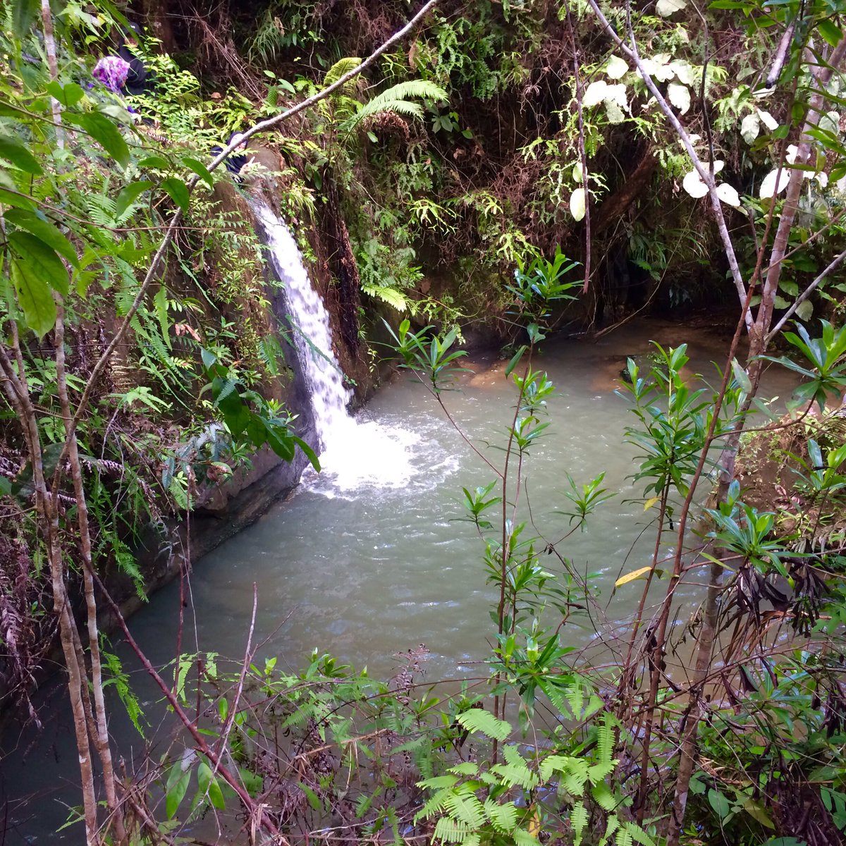 _acabellas's tweet photo. such a beautiful place but too extreme to hike @ Banjaran Kelingkang, Sarawak. (A must place to go when you are in sarawak) https://t.co/s7nyxVCmCp