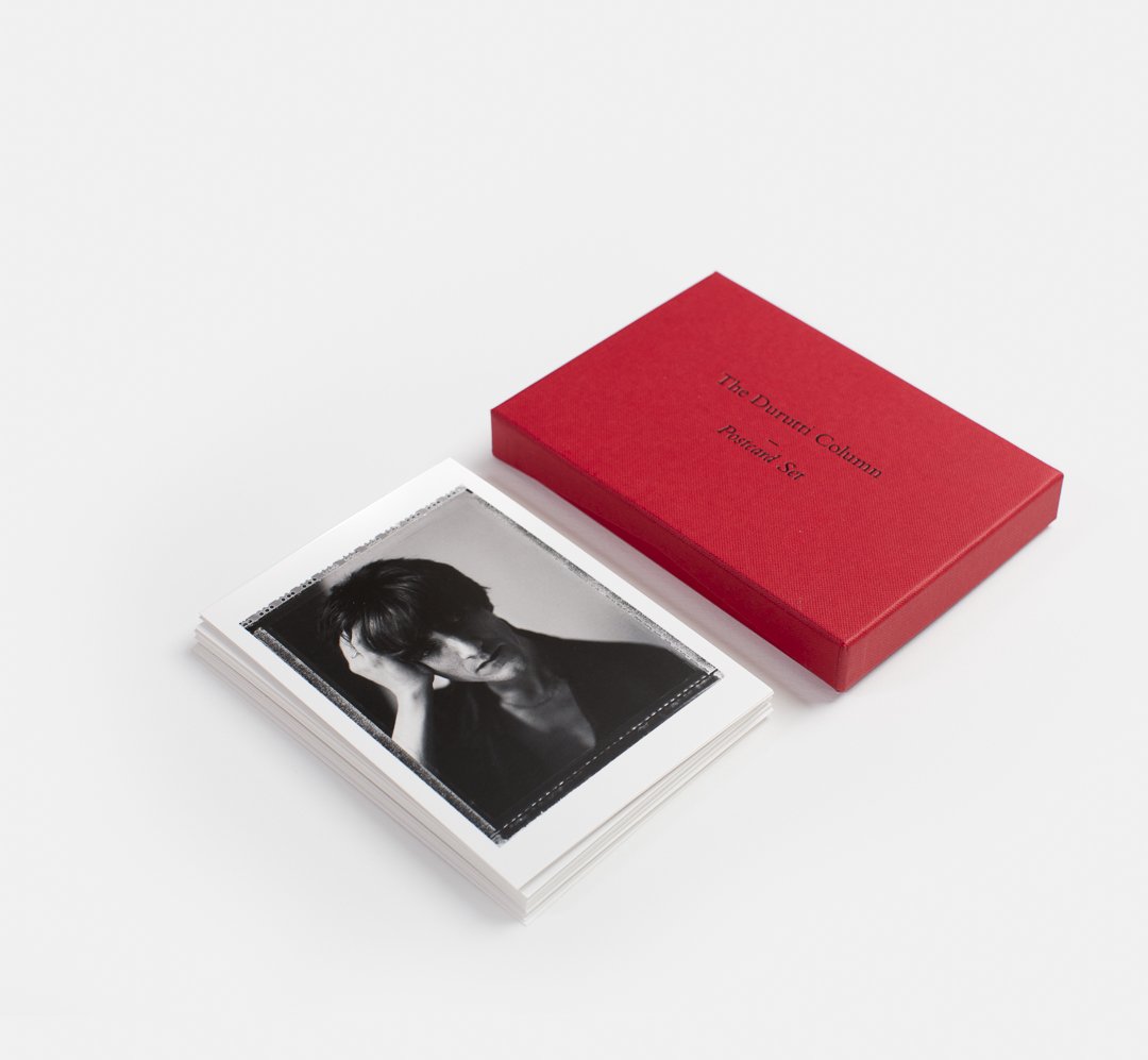 Polite Company tweet media