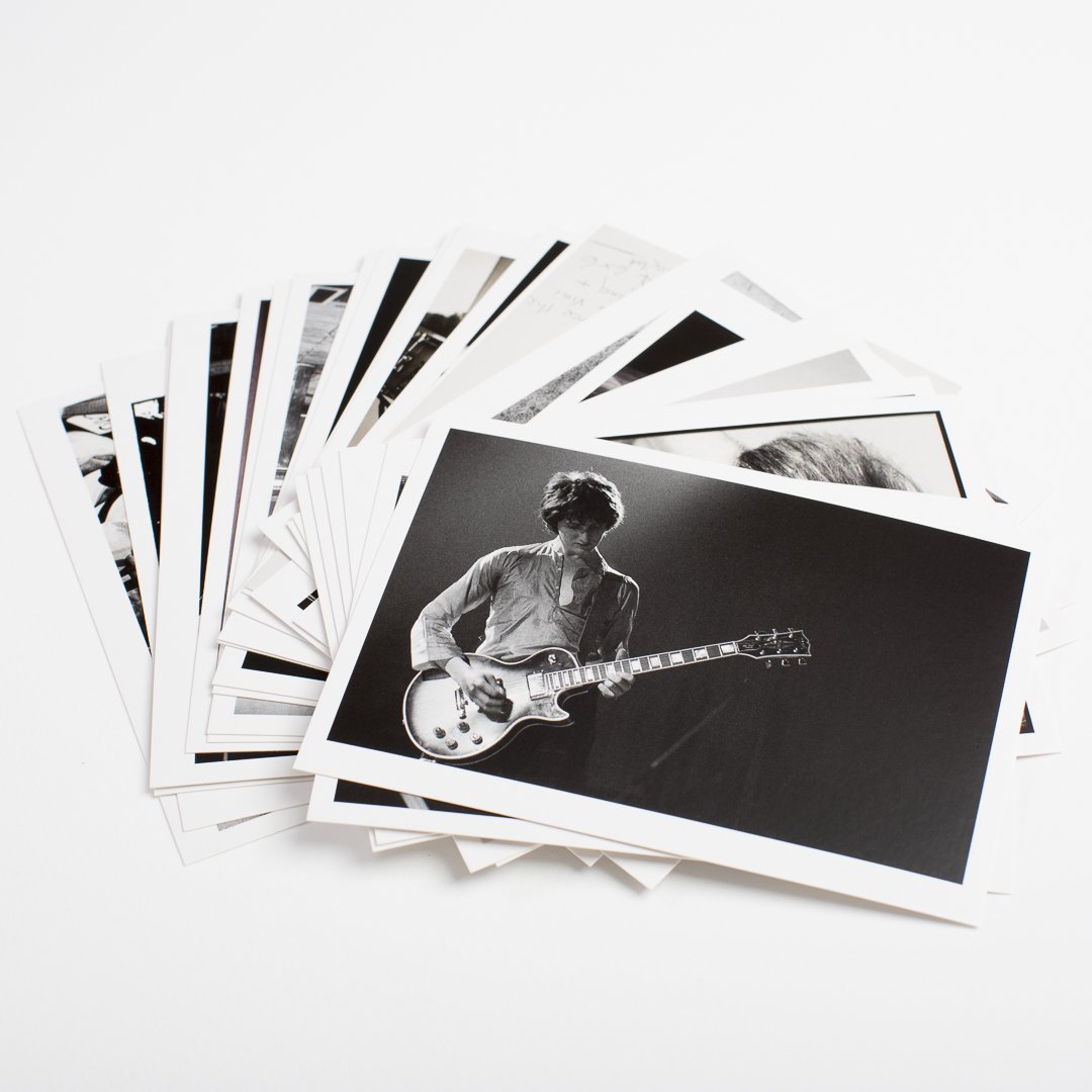 Polite Company tweet media