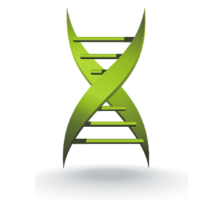 MusicnMemoryUK's tweet photo. Prediction of conversion to Alzheimer's disease with longitudinal measures and time-to-event data https://t.co/RFX2a9Hjvi https://t.co/32kZkUBbth