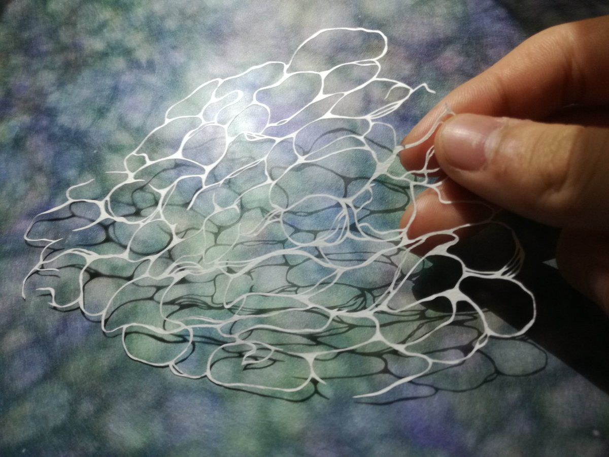 Twitter 上的 松村大地 水面 水は可視的な流動体であり 光の道筋を変える その流れは絶えずして この地球をさ迷い漂うかのように巡っていく 青い海の水を両手で掬ってみれば 不思議なことに透けている タイトルが定まらない ６月以降たぶんあと何作品がこれ