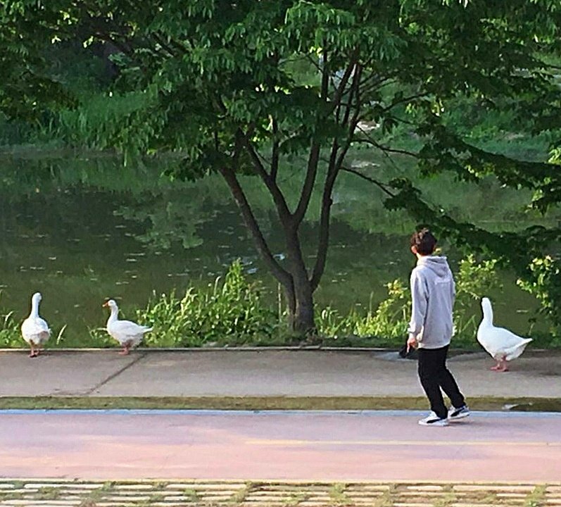 XENO_T_twt's tweet photo. #상도
같이걷자 꽥꽥 https://t.co/78EGLVPPKq