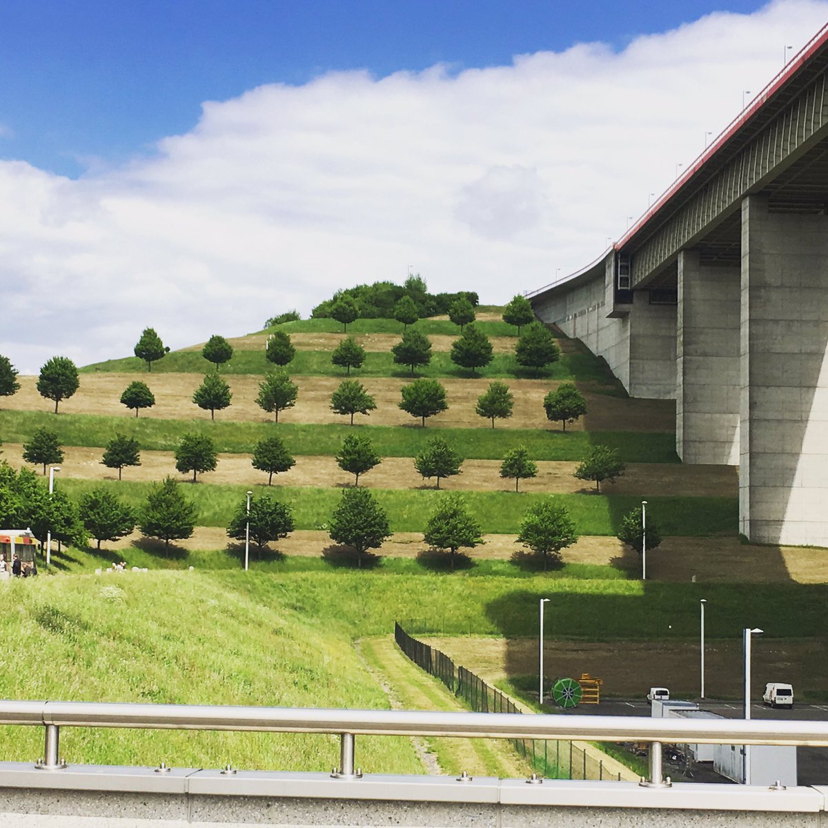 usearbonne's tweet photo. Must be the most beautiful collection of trees I've seen. #beautifulworld https://t.co/xp3rxyGZVN