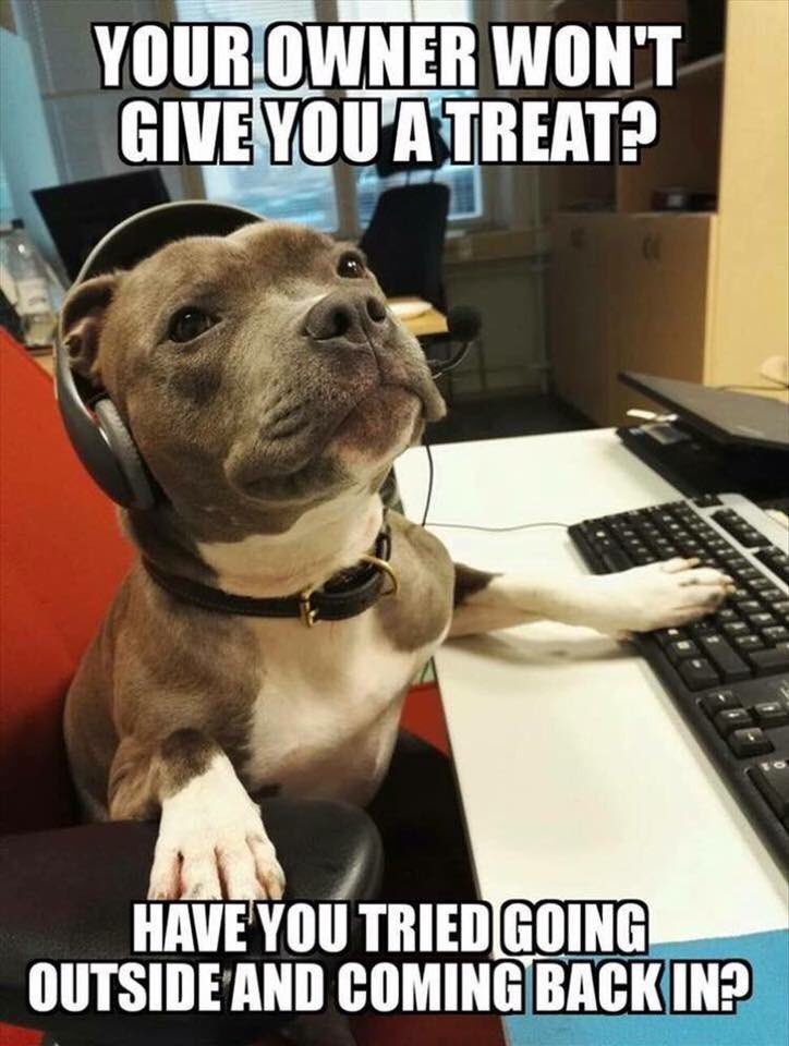 poopfighters's tweet photo. Happy weekend!!!!
#poopfighters #ldnont #ldnontario #pooperscooper #sttont #stthomas #sttoc #woof #dog #dogs #weekend #chat #help https://t.co/GWkp9pIilW