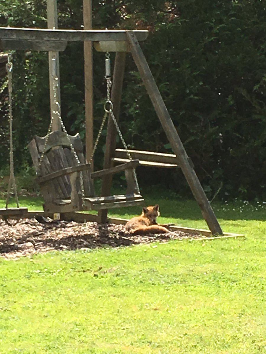 Nicola Eastwood tweet media