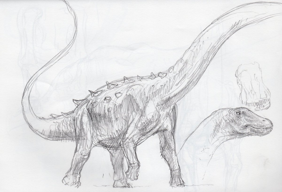 山本聖士 恐竜復元教 恐竜異説読も Twitter પર 明日は恐竜復元教室アラモサウルス編開催です 参加者ぎりぎりまで募集中 また当日の飛び入り参加も歓迎ですので迷ってる君は模型の王国浅草物件にgoだ