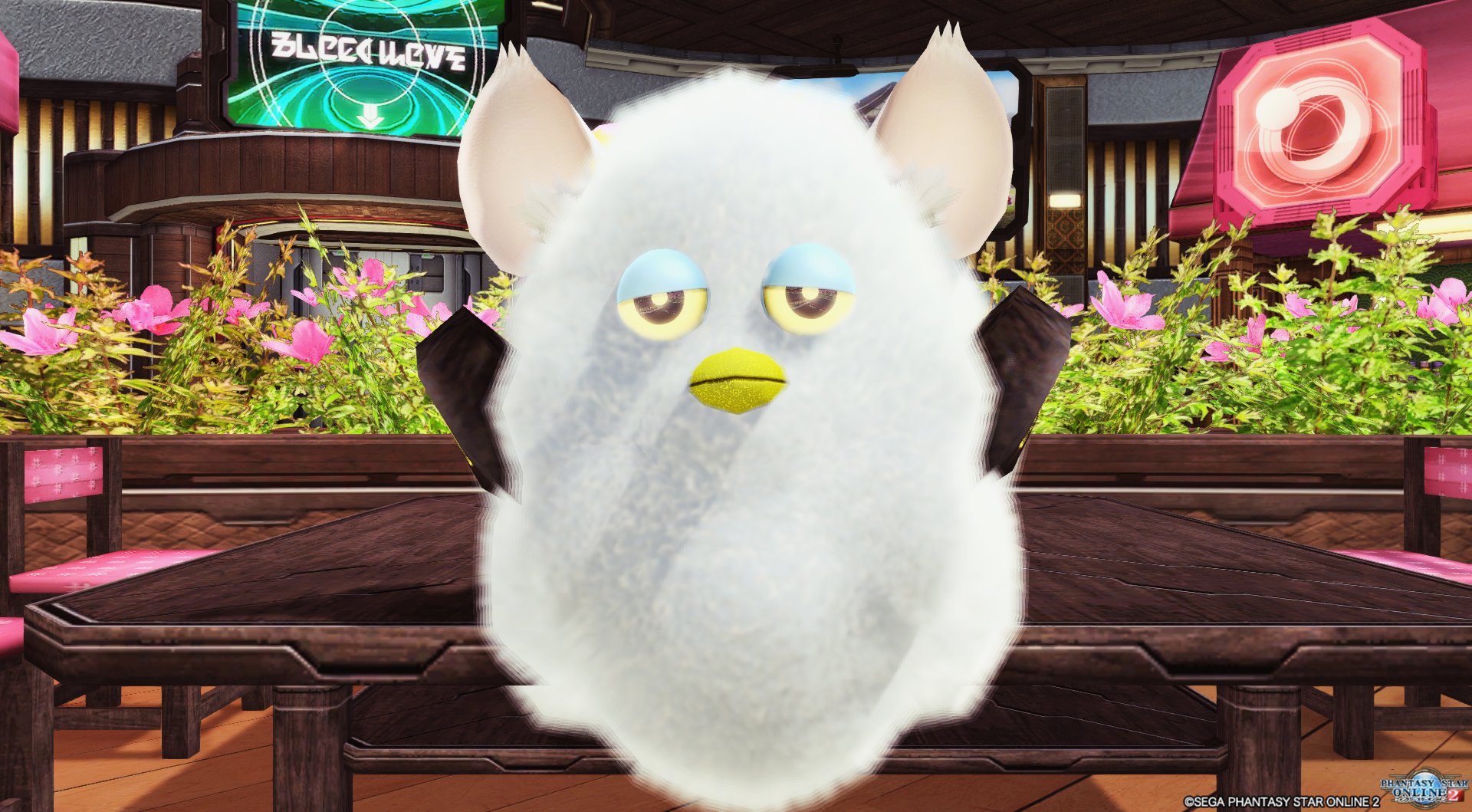 ナベリウスの妖精神 ファー ブルスコ ファー ブルスコ ファ Pso2 T Co T2as9zwqsw Twitter