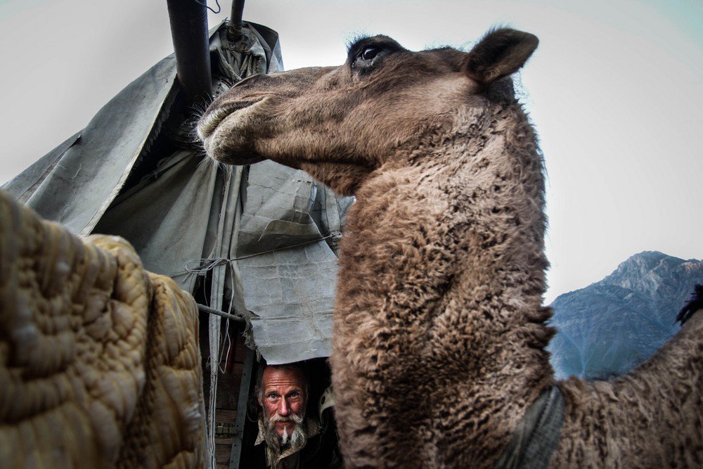 KFFsalesandprom's tweet photo. Four polish films at @AFIDOCS: "First Pole on Mars", "Close Ties", "Goran the Camel Man" & "Education" #polishdocs https://t.co/0ef1F5IxSx https://t.co/rLetUaJ43I