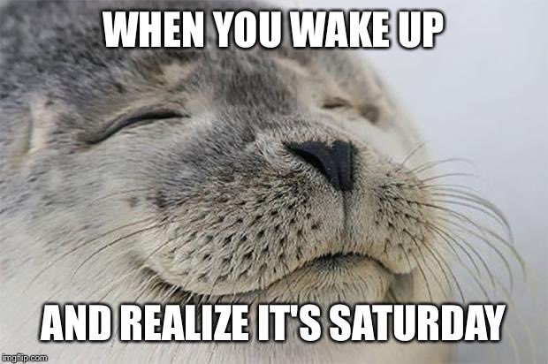 ElvisDuranShow's tweet photo. Yesss! 😌😴 https://t.co/UxjzdH6Et3