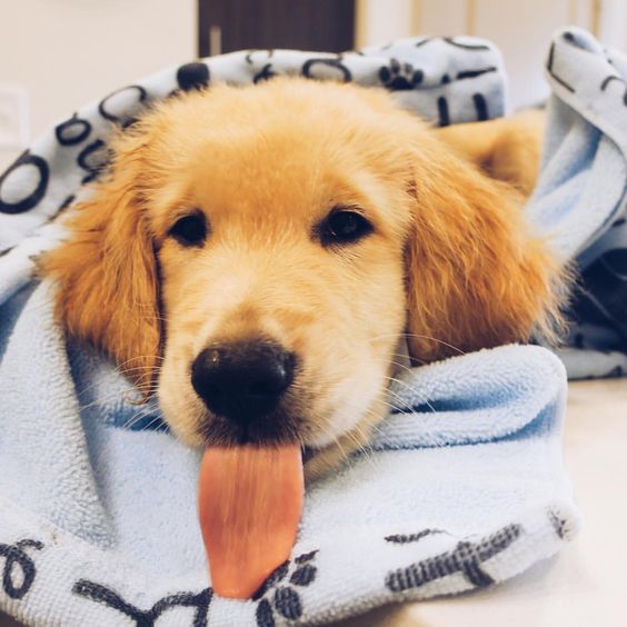 10,000/10,000 ☺️