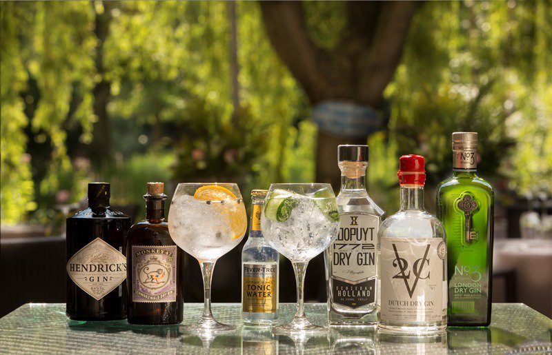 Gin Tonics op ons terras! Kom ze proeven!