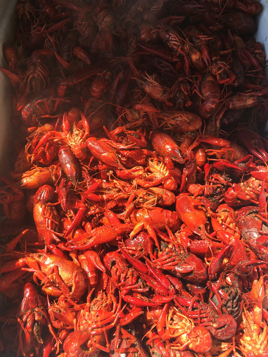CrawfishCrawl's tweet photo. Doors open in one hour! @KingsConway https://t.co/6E1Wt4N4mZ
