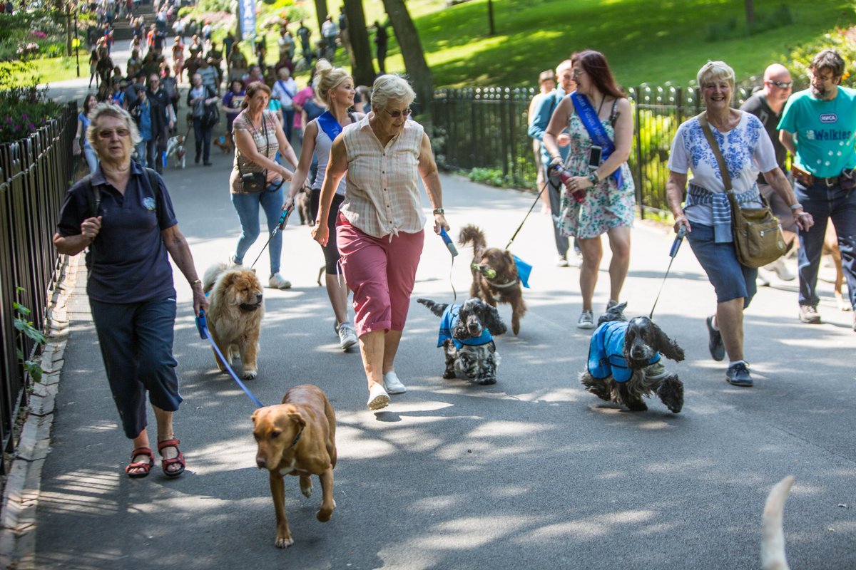 Early entry for this year's all done &amp; dusted, but you can still sign up for standard entry - £12 = max 2 dogs ow.ly/C6vC30bEbVY