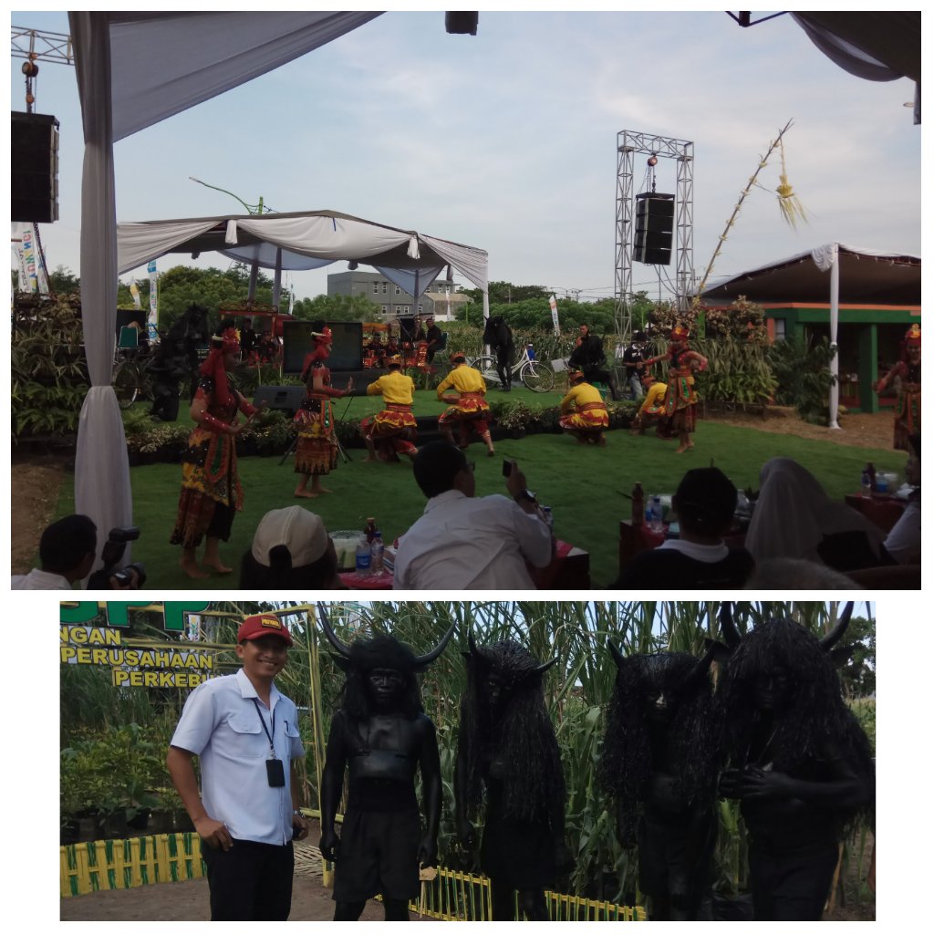 BIBINWIDIATMOKO's tweet image. Ambil cangkulmu ambil pangkurmu, kita menanam tak jemu2 " Festival Agro Expo" s.d 20 Mei di Banyuwangi @protokolbwi