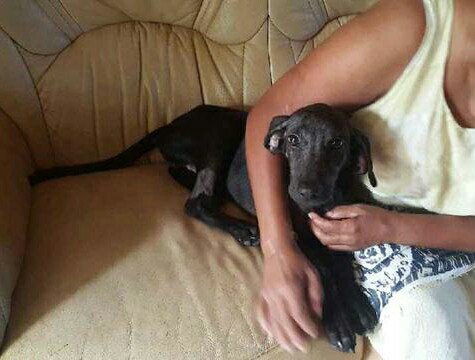 Envol Toit Envoltoit Twitter