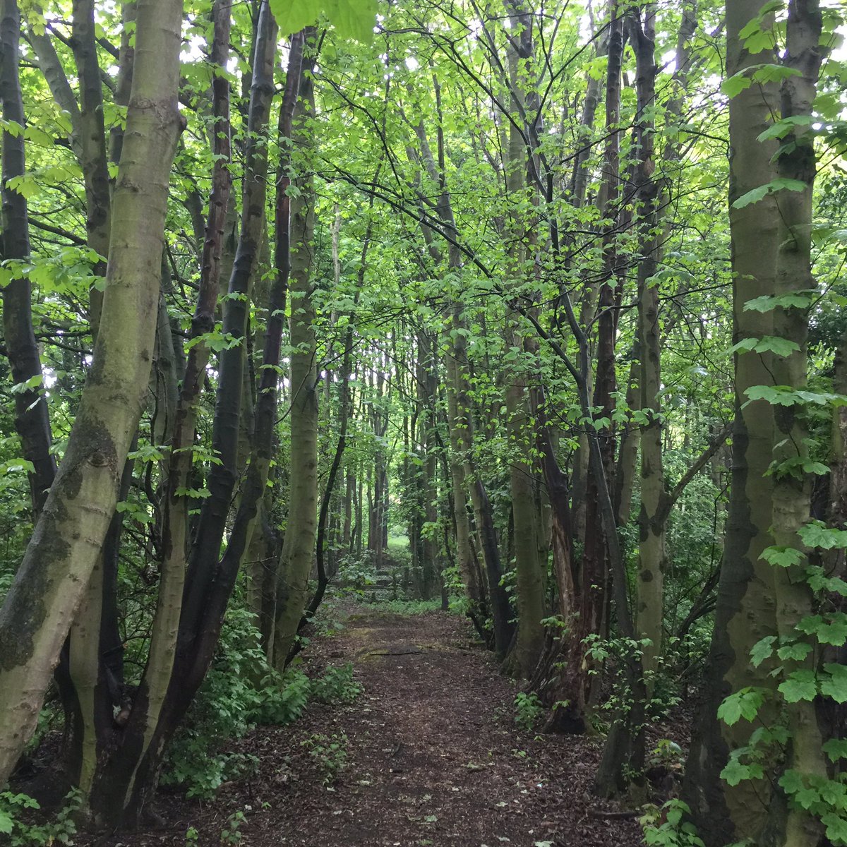 Rob Flett tweet media