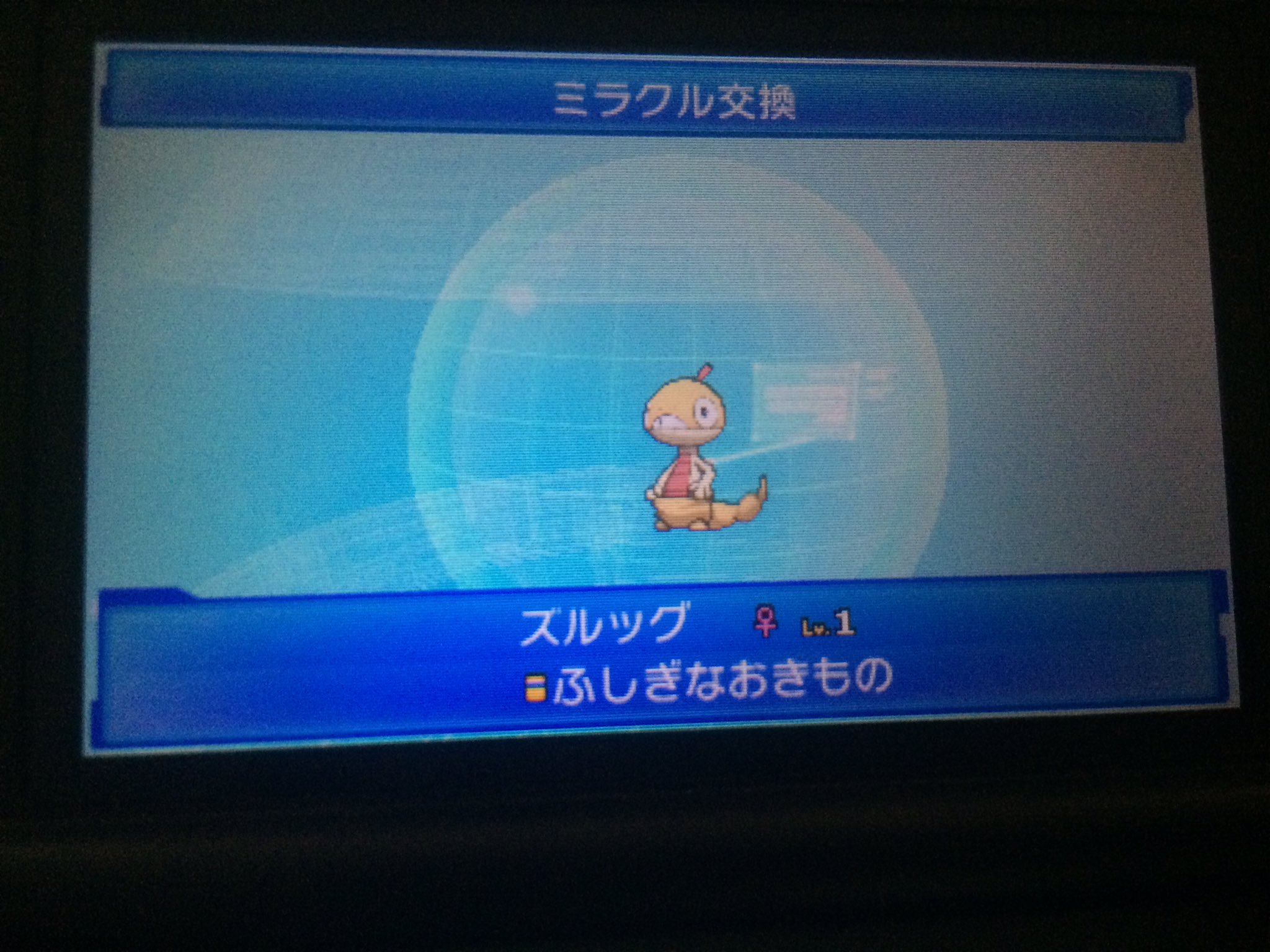めっちゃしこしこちんちん丸 Love Eevee6v Twitter